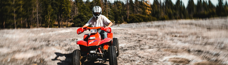 ATV/UTV - Floorboards & Foot Pegs