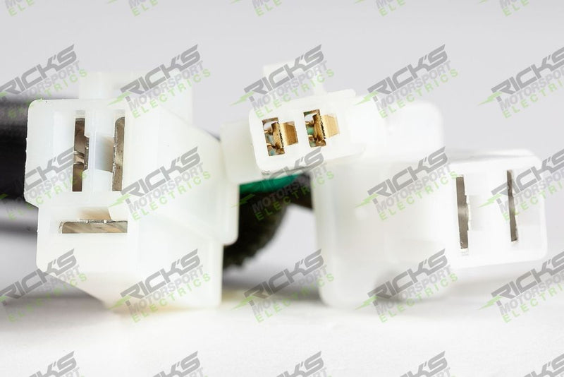 Load image into Gallery viewer, Ricks Stator 21-824
