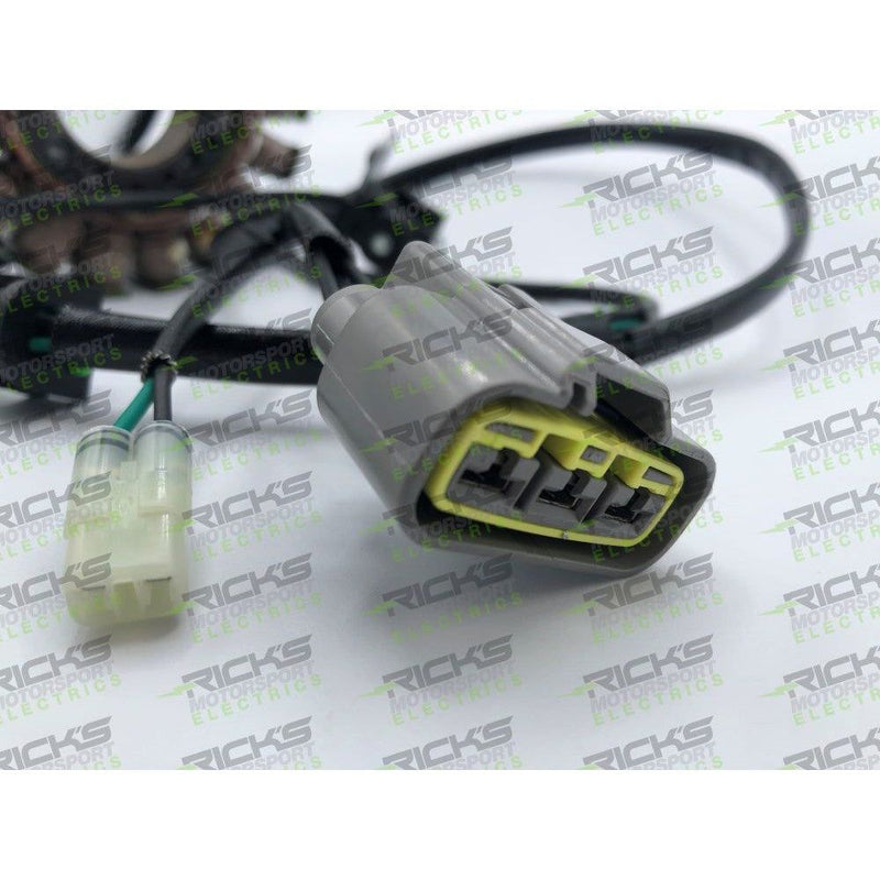 Load image into Gallery viewer, Ricks Stator 21-036
