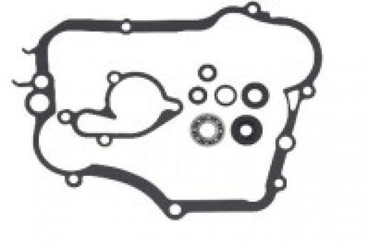 Psychic Water Pump Repair Kit MX-10261