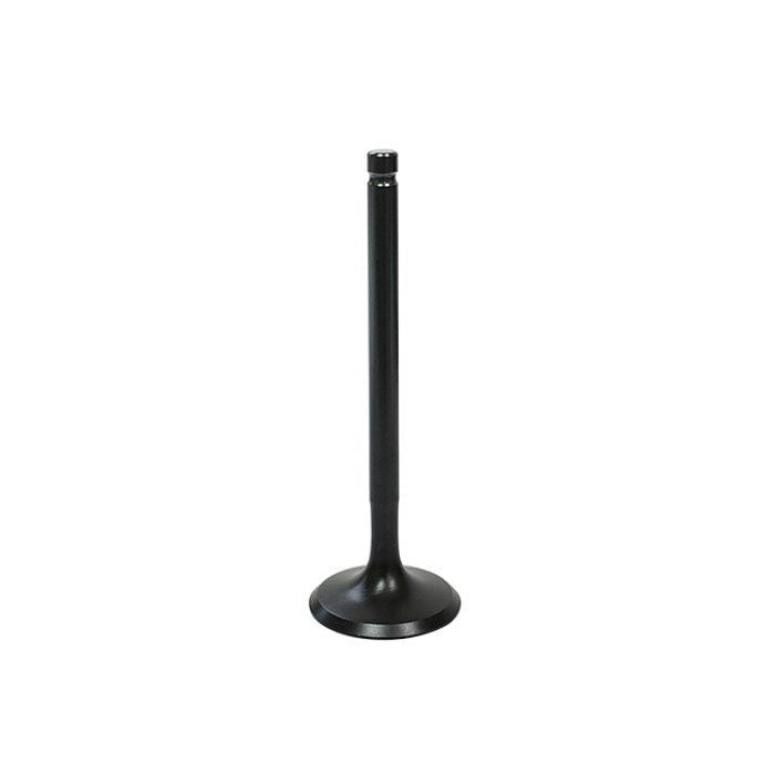 Load image into Gallery viewer, Intake Valve Racing Type XU-09558I
