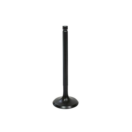 Intake Valve Racing Type XU-09558I
