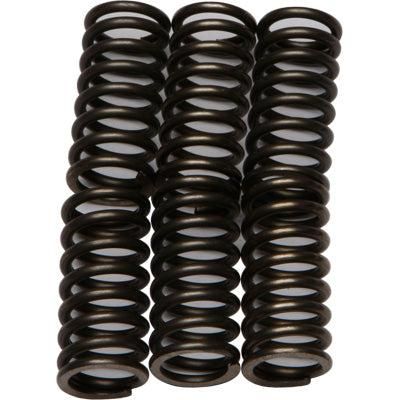 Load image into Gallery viewer, EBC CSK Series Heavy Duty Clutch Spring Kit for Kawasaki NINJA ZX-10R 2004-2005
