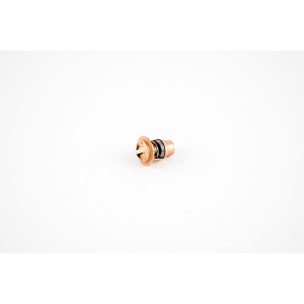 WSM Thermostat for Polaris 650 - 1200 92-04 004-265