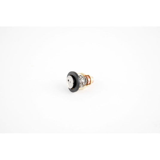 WSM Thermostat - 004-260