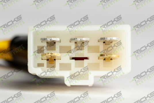 Ricks Hot Shot Series Rectifier-Regulator 10-418H