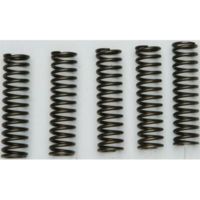 Load image into Gallery viewer, EBC CSK Series Heavy Duty Clutch Spring Kit for Kawasaki NINJA ZX-9R 2000-2003
