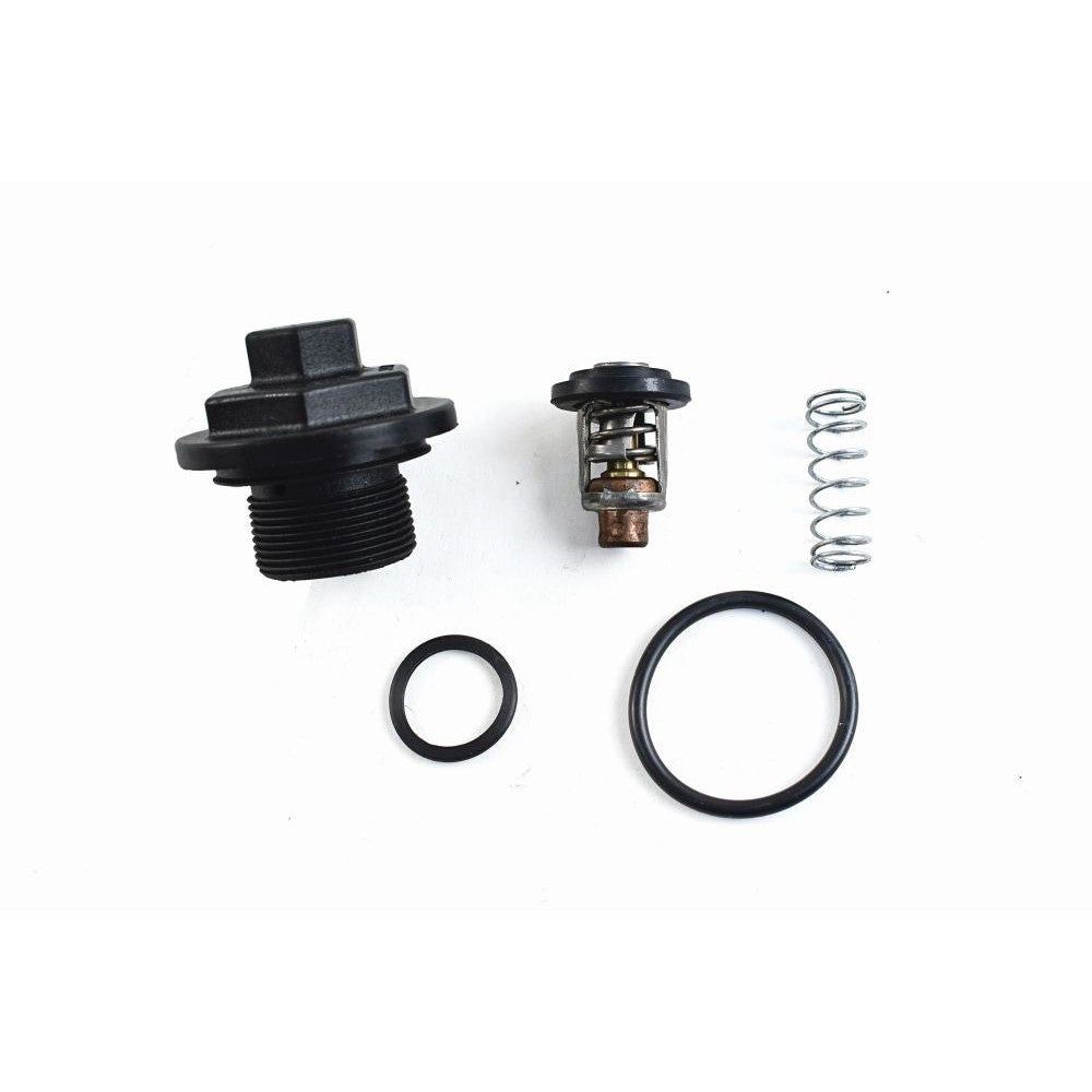 WSM Thermostat Kit for Johnson / Evinrude 200 - 300 Hp E-Tec / FFI 780-170
