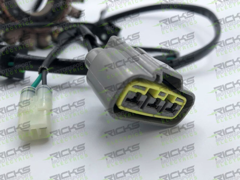 Load image into Gallery viewer, Ricks Stator 21-036
