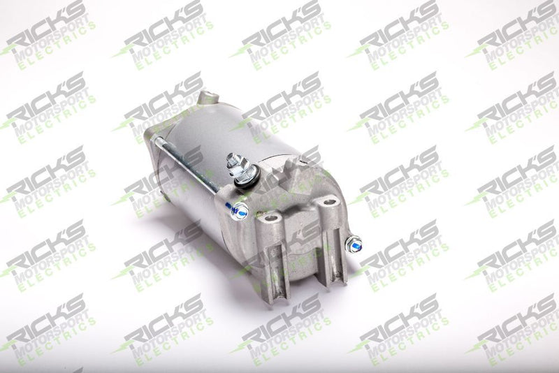 Load image into Gallery viewer, Ricks Starter Motor 61-318
