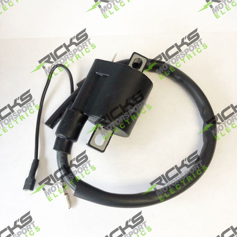 Load image into Gallery viewer, Ricks Ignition Coil 23-301
