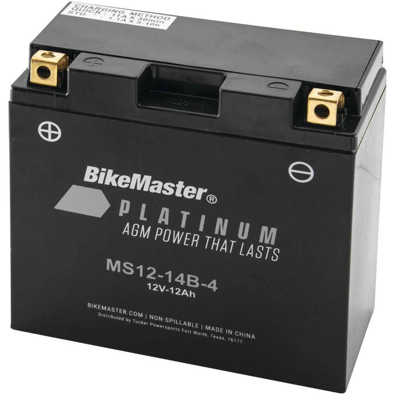 Load image into Gallery viewer, AGM 12V Platinum Battery For Yamaha XVS1100 V-Star Classic 1999-2010 Grey
