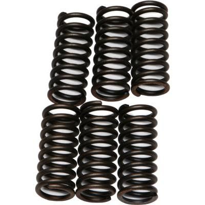 Load image into Gallery viewer, EBC Clutch Plates CSK Spring Kit for Triumph Sprint ST (1050cc) 05-09
