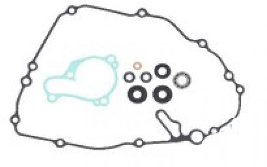 Psychic Water Pump Repair Kit MX-10262