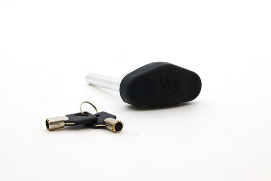 Steel Dual Pin Key Lock Assembly