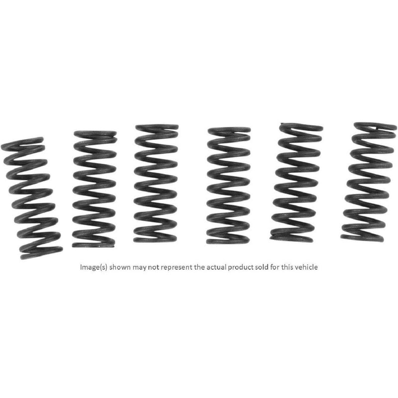 Load image into Gallery viewer, EBC CSK Series Heavy Duty Clutch Spring Kit for Kawasaki NINJA ZX-9R 2000-2003
