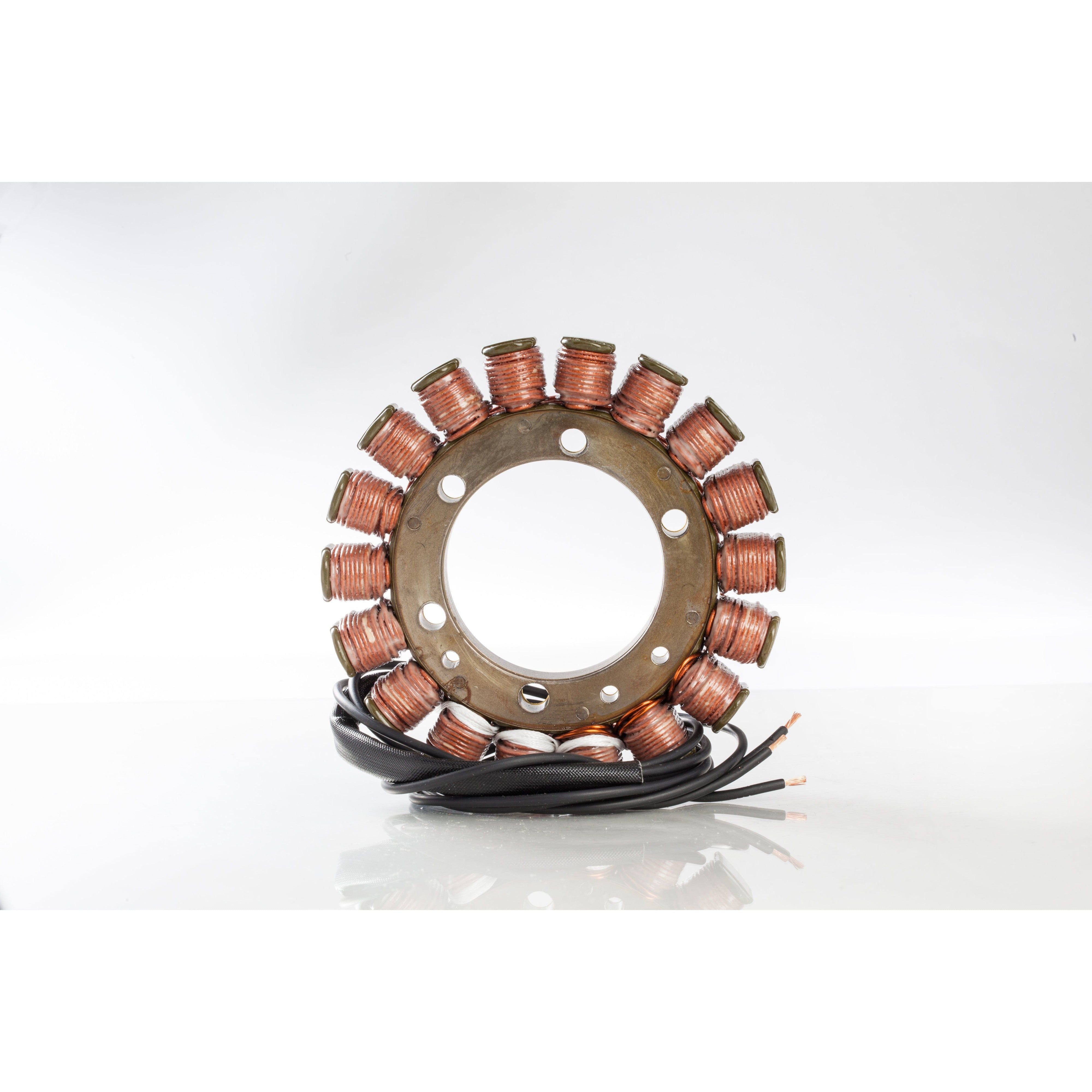 Ricks Stator For Suzuki Vstrom 1000 DL1000 2002 21-319