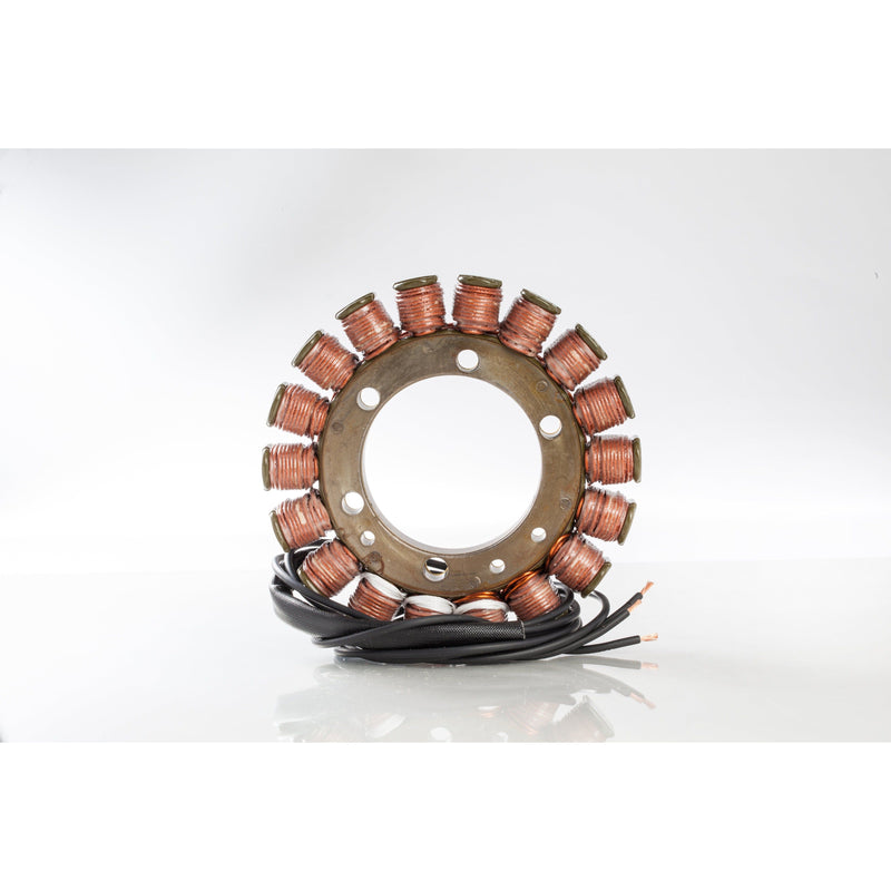Load image into Gallery viewer, Ricks Stator For Suzuki Vstrom 1000 DL1000 2002 21-319
