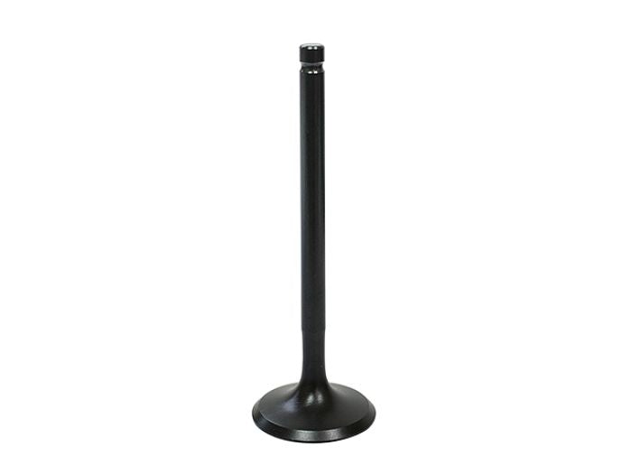 Load image into Gallery viewer, Intake Valve Racing Type XU-09558I

