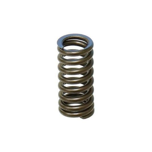 Intake Valve Spring XU-09532-1IS