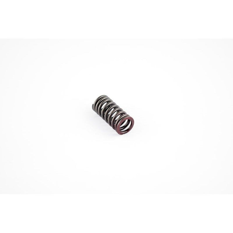 Load image into Gallery viewer, WSM Exhaust Valve Spring for Yamaha 1000 / 1100 010-033
