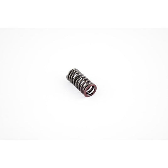 WSM Exhaust Valve Spring for Yamaha 1000 / 1100 010-033