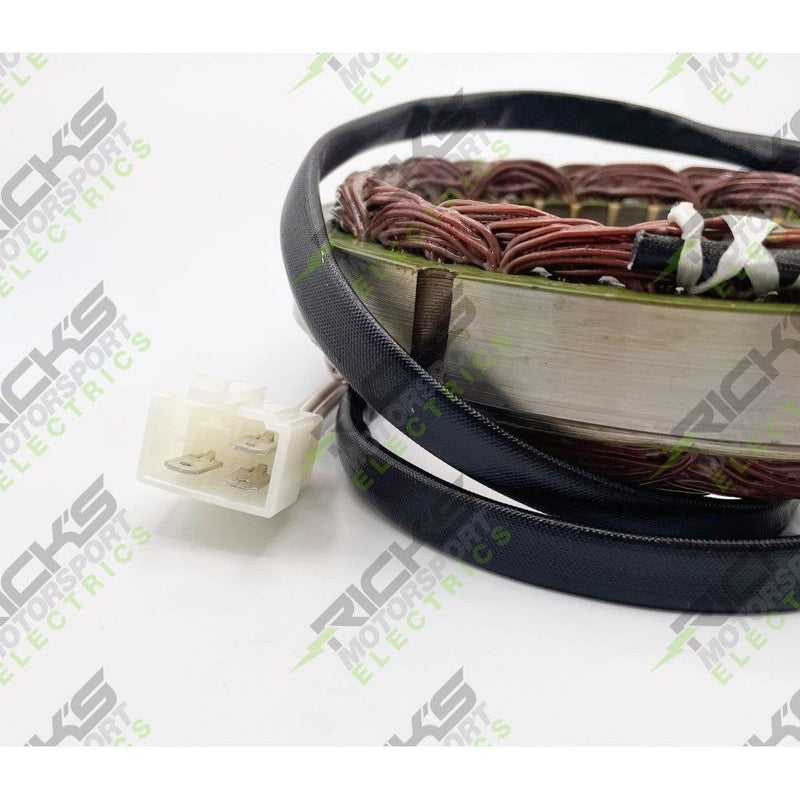 Load image into Gallery viewer, Ricks Stator 21-247
