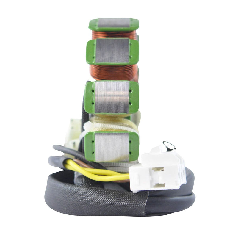 Load image into Gallery viewer, RMStator Stator RM01228
