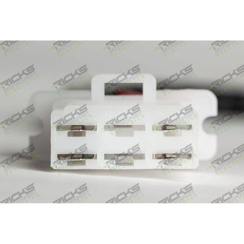 Load image into Gallery viewer, Ricks Rectifier-Regulator For Honda Silver Wing 600 FSC600 2002-2004 10-165
