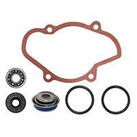 SPI Water Pump Repair Kit 10-721312