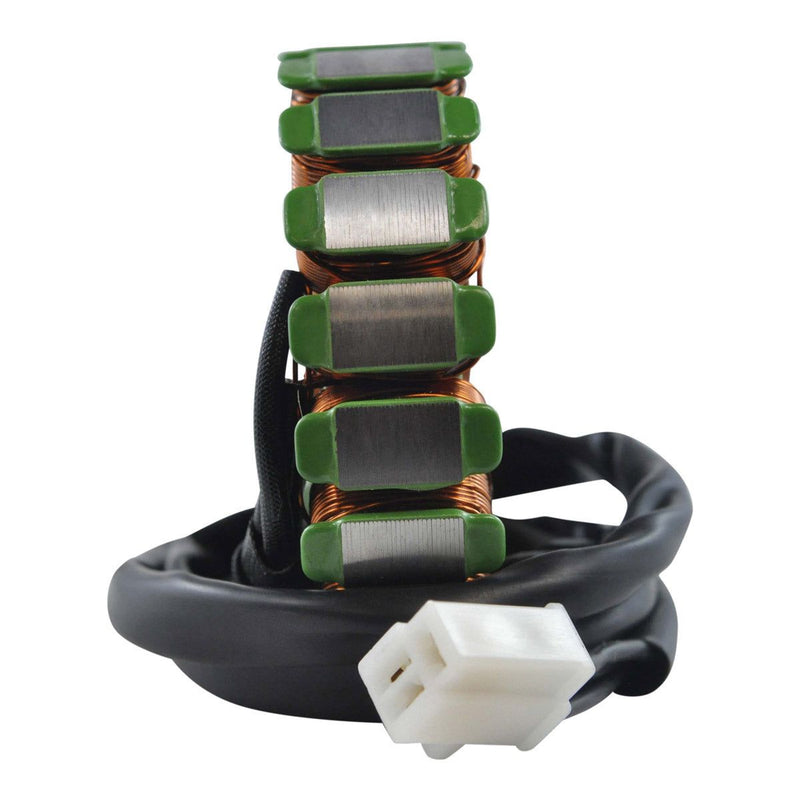 Load image into Gallery viewer, RMStator Generator Stator RM01487
