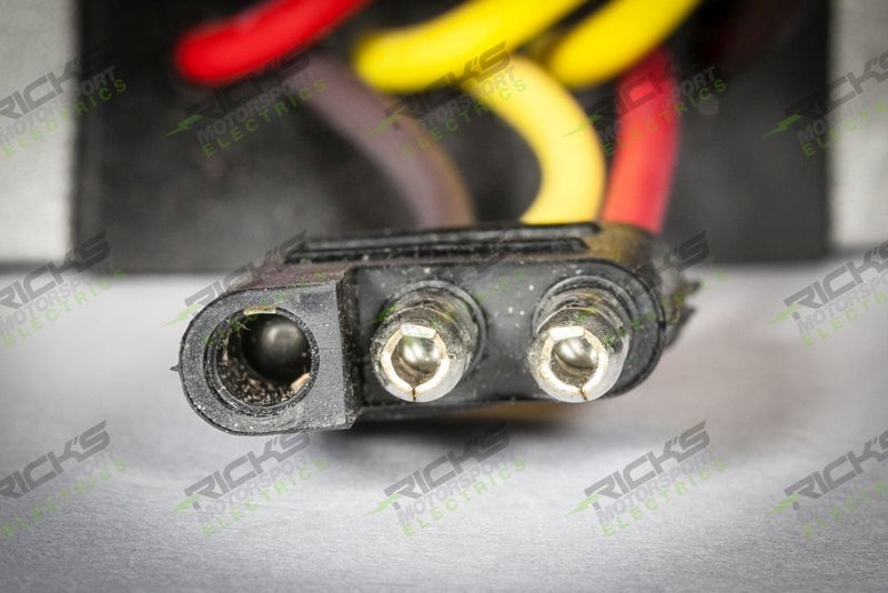 Load image into Gallery viewer, Ricks Rectifier-Regulator 10-S117
