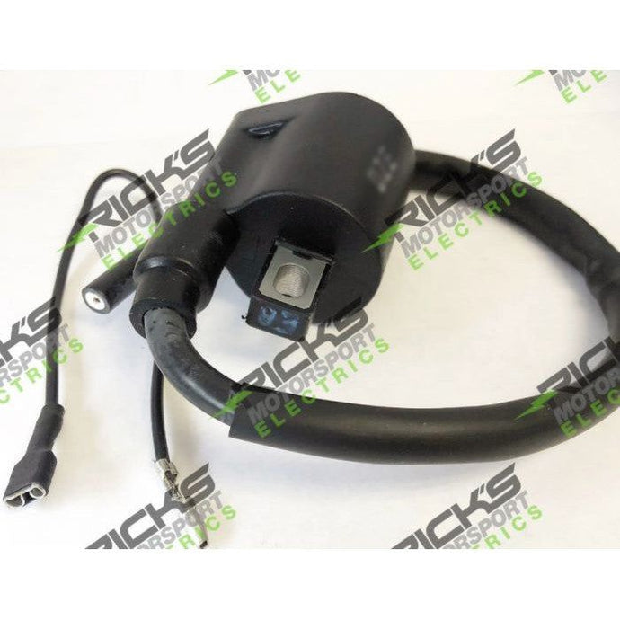 Ricks Ignition Coil 23-301