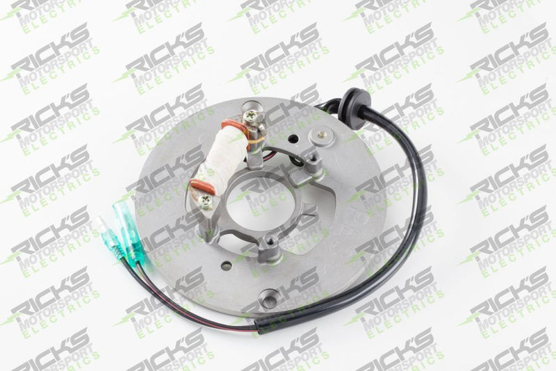 Load image into Gallery viewer, Ricks Stator 21-906
