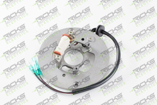 Ricks Stator 21-906