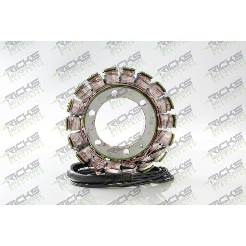 Load image into Gallery viewer, Ricks Stator For Suzuki Vstrom 1000 DL1000 2003-2012 21-316

