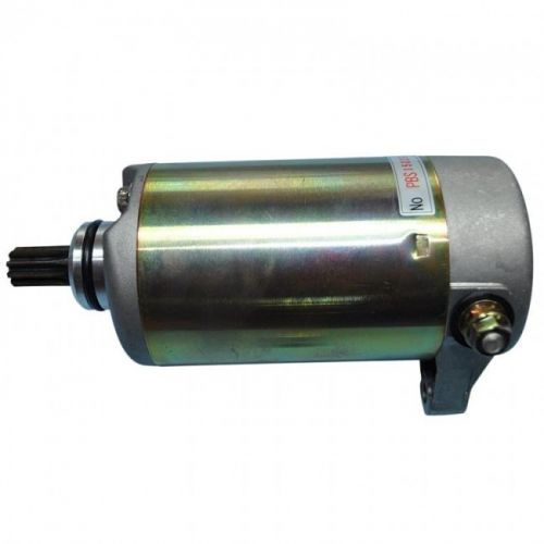 Starter Motor for Suzuki GZ250 1999-2010 Ricks