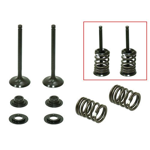 Psychic Products Psychic Valve Kit- Intake XU-09558IK