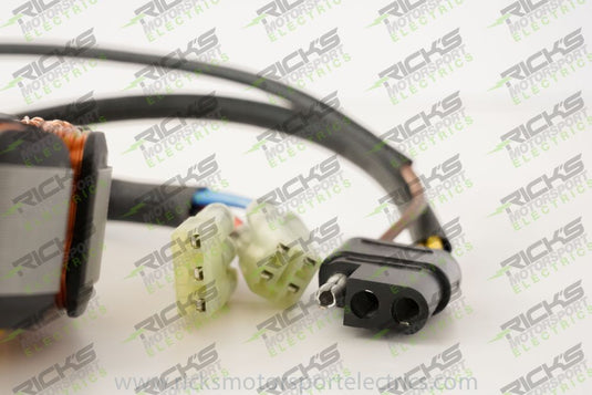 Ricks Stator 24-005