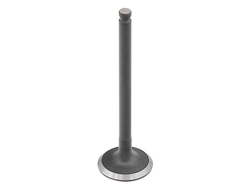 Bronco Intake Valve AU-09230I