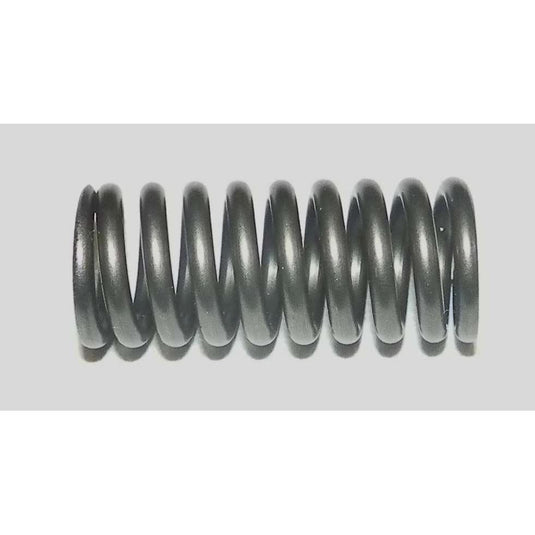 WSM Exhaust Valve Spring for Yamaha 1000 / 1100 010-032