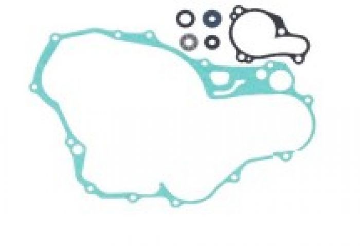 Load image into Gallery viewer, Psychic Water Pump Repair Kit MX-10263
