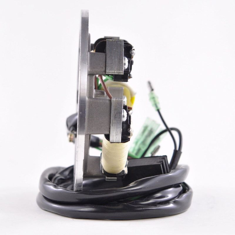 Load image into Gallery viewer, RMStator Stator RM01371
