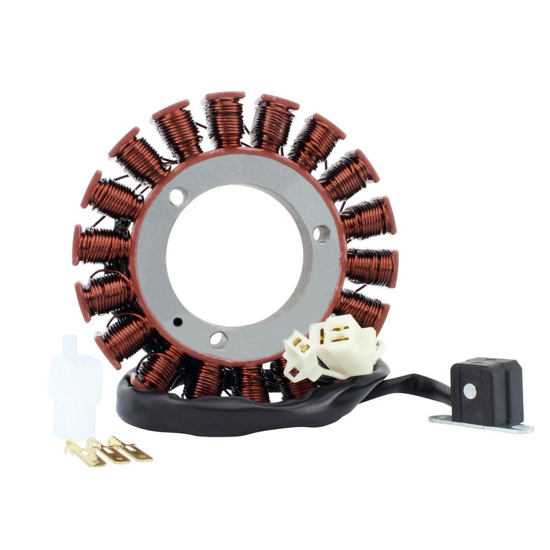 Load image into Gallery viewer, RMStator Generator Stator RM01063
