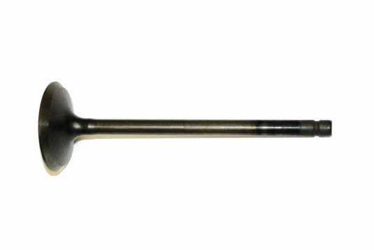 WSM Intake Valve for Yamaha 200 - 250 Hp 3.3L 4-Stroke 11-21 120-230