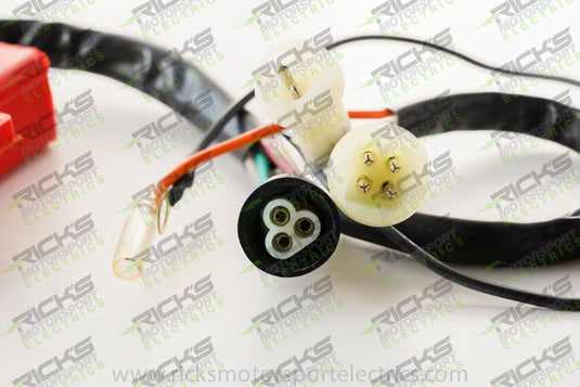 Ricks CDI Box 15-429