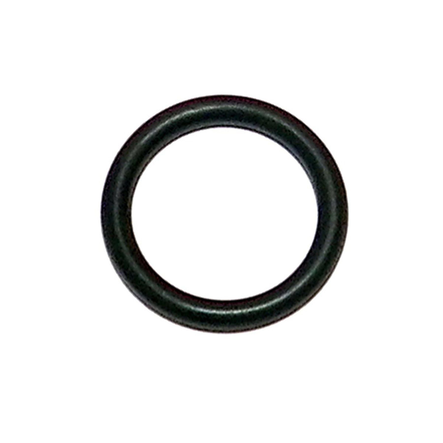 WSM Jet Pump Outlet O-Ring - 008-642