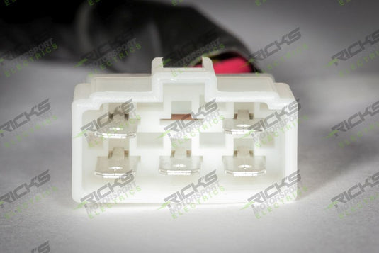 Ricks Rectifier-Regulator 10-308