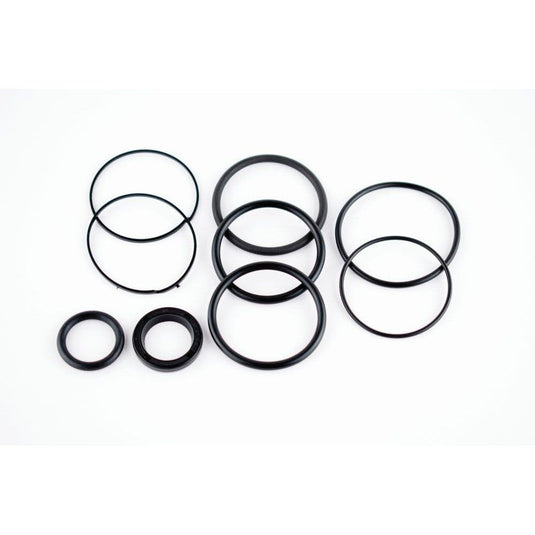 WSM Trim Cylinder Seal Kit for Evinrude / OMC / Volvo 335-115