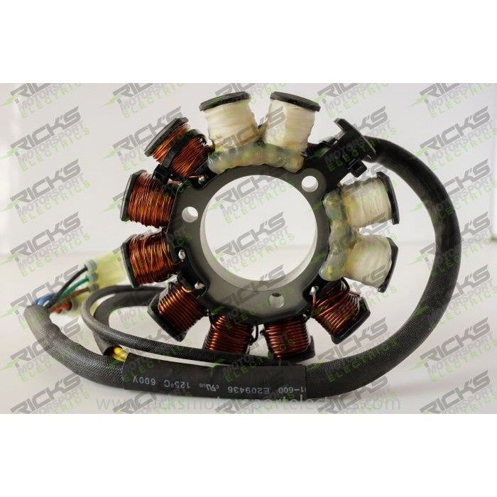 Load image into Gallery viewer, Ricks Stator 24-005
